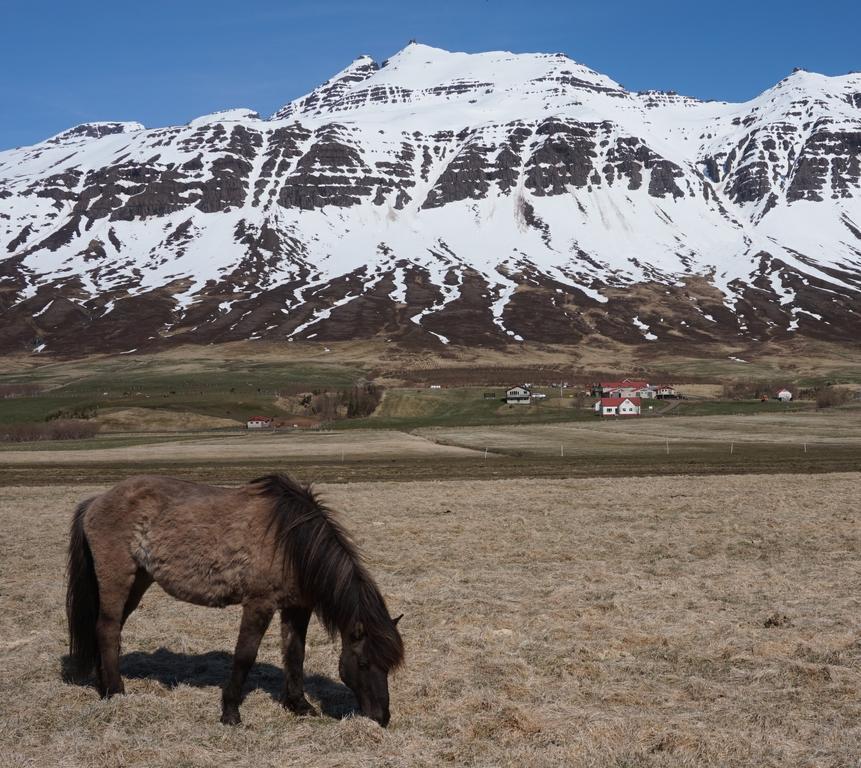 Skorrahestar Villa Neskaupstadur Bagian luar foto